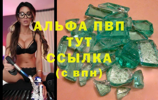 стафф Коряжма