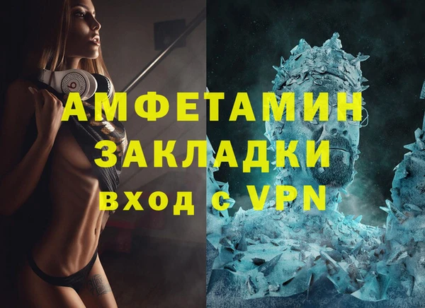 стафф Коряжма