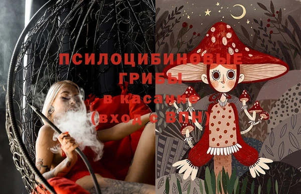 стафф Коряжма