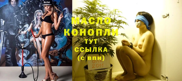 МДПВ Нижний Тагил