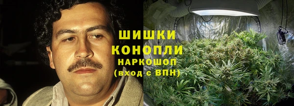 apvp Кодинск