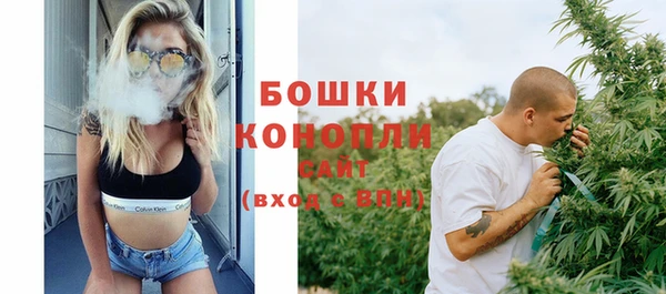 стафф Коряжма