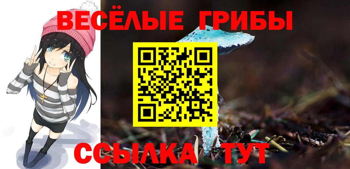 купить  сайты  Вход с VPN  Отрадное  Галлюциногенные грибы Psilocybe 